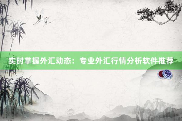 实时掌握外汇动态：专业外汇行情分析软件推荐