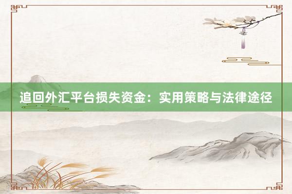 追回外汇平台损失资金：实用策略与法律途径