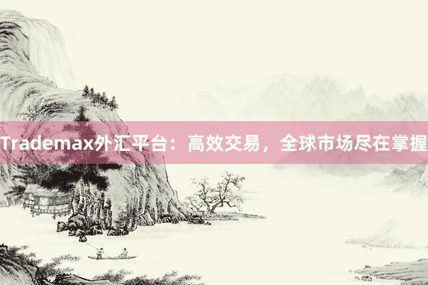 Trademax外汇平台：高效交易，全球市场尽在掌握