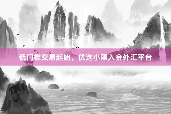 低门槛交易起始，优选小额入金外汇平台