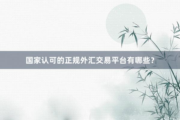 国家认可的正规外汇交易平台有哪些？