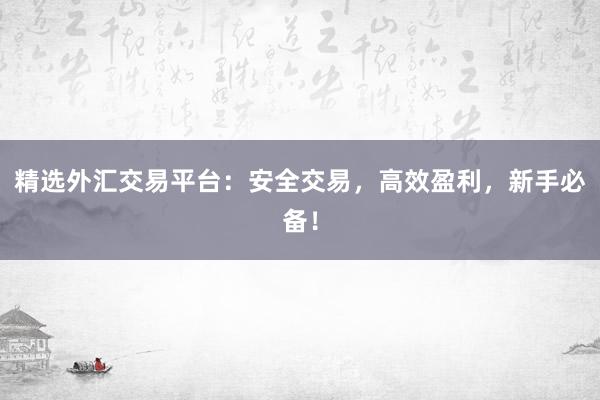 精选外汇交易平台：安全交易，高效盈利，新手必备！