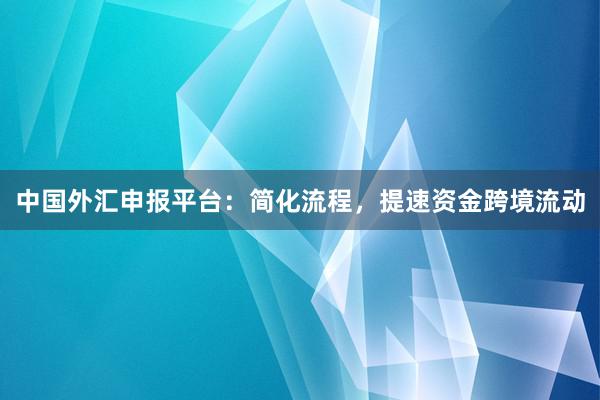 中国外汇申报平台：简化流程，提速资金跨境流动