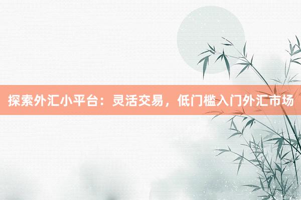 探索外汇小平台：灵活交易，低门槛入门外汇市场
