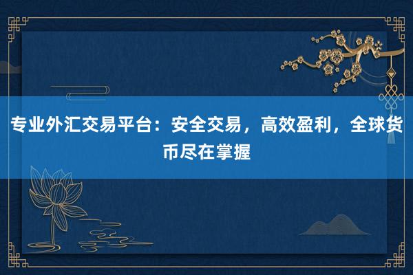 专业外汇交易平台：安全交易，高效盈利，全球货币尽在掌握