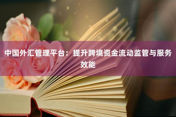 中国外汇管理平台：提升跨境资金流动监管与服务效能